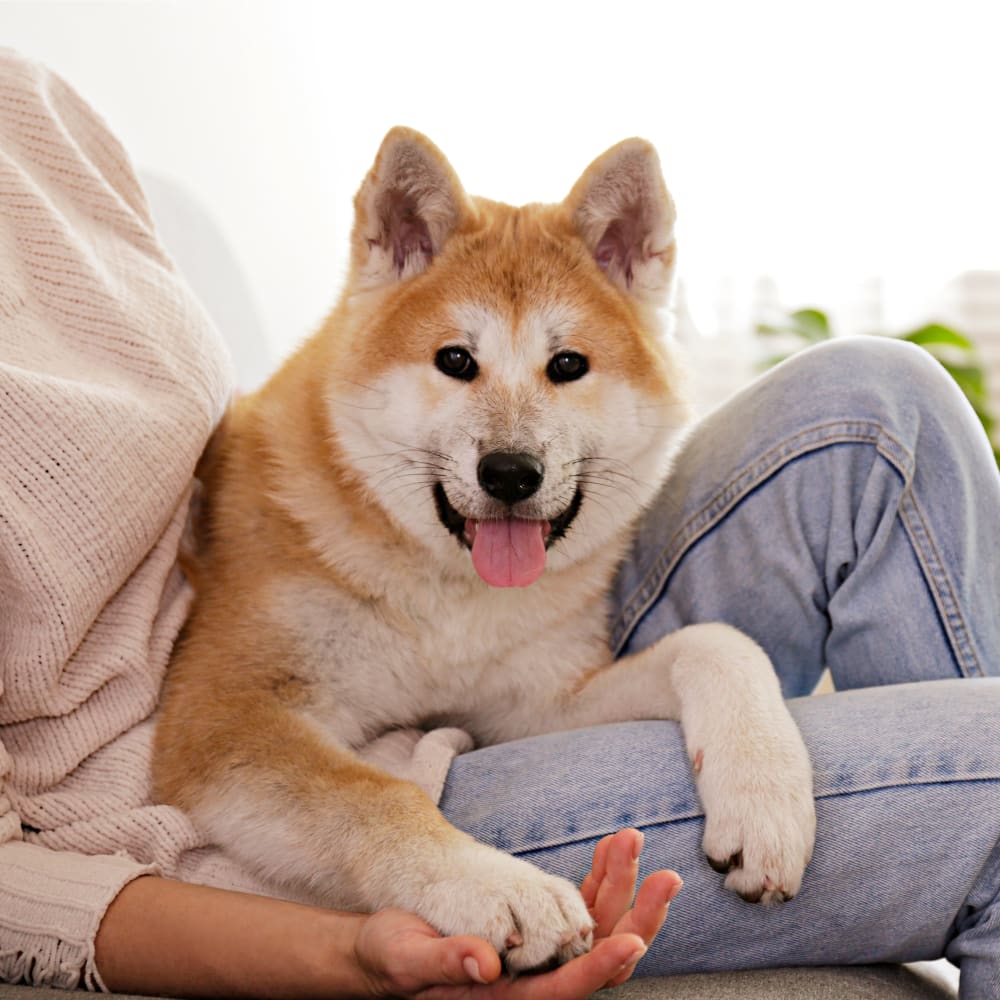 Tournament Valley Veterinary Hospital in Kamloops