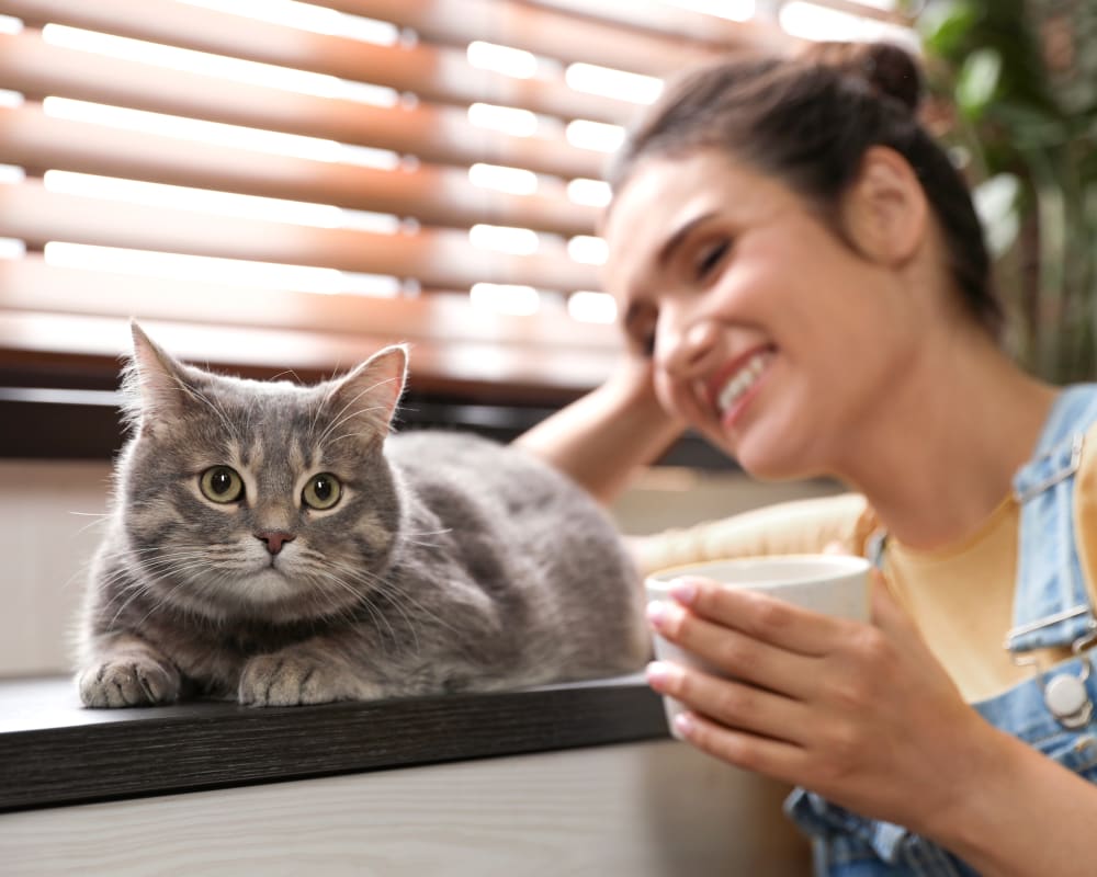 Dental Care, Kamloops Vet