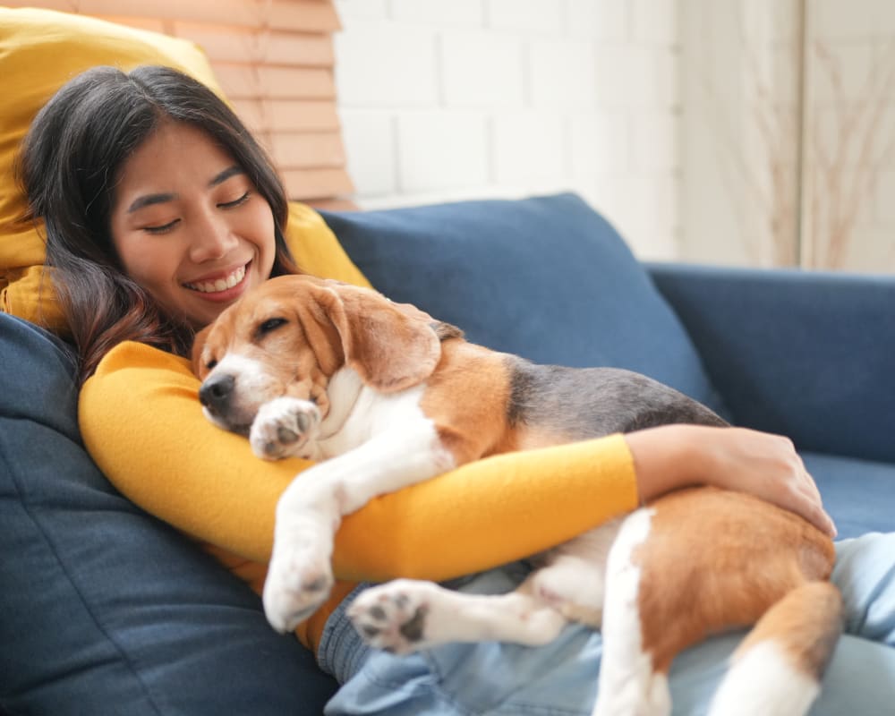 Surgery, Kamloops Vet